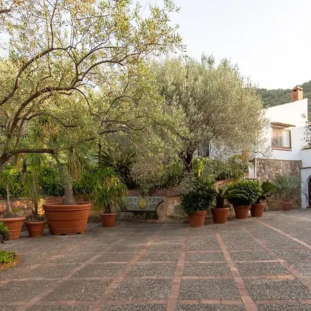 Grimodi Caronia Marina